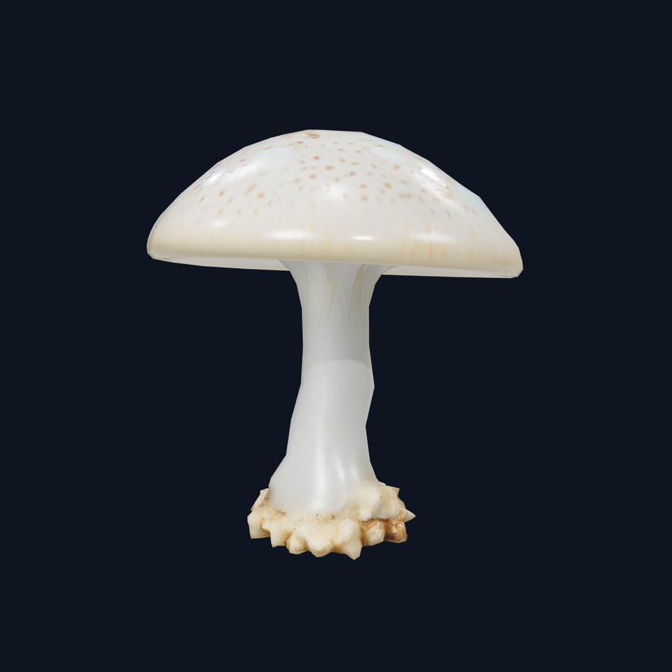 Glowing Mushroom model pack